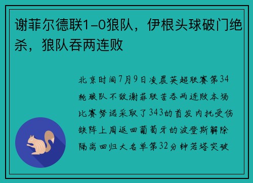 谢菲尔德联1-0狼队，伊根头球破门绝杀，狼队吞两连败